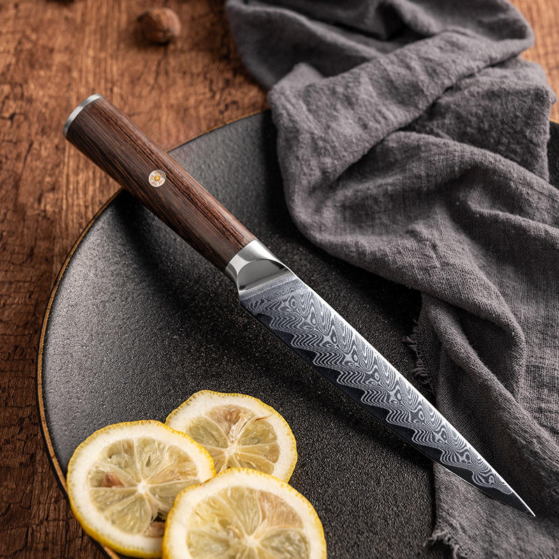 67-Layer Damascus Steel 5-Piece Wooden Handle Kitchen Knife Gift Set (with Storage Base)