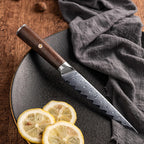 67-Layer Damascus Steel 5-Piece Wooden Handle Kitchen Knife Gift Set (with Storage Base)