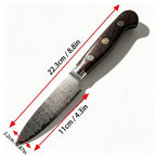 5 Inch 67-Layer Damascus Multipurpose Utility Paring Knife, Ergonomic Color-Stained Hardwood Handle