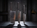 3 Pieces 67-Layer 9Cr18 Damascus Kitchen Knife Set, Ebony Wood Handle, Paring/Santoku/Slicer Premium Chef Knives