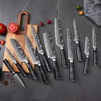 10-Piece Premium Kitchen Knife Set