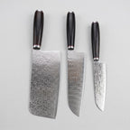 3 Pieces 67-Layer 9Cr18 Damascus Kitchen Knife Set, Ebony Wood Handle, Paring/Santoku/Slicer Premium Chef Knives
