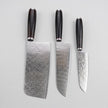 3 Pieces 67-Layer 9Cr18 Damascus Kitchen Knife Set, Ebony Wood Handle, Paring/Santoku/Slicer Premium Chef Knives