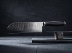3 Pieces 67-Layer 9Cr18 Damascus Kitchen Knife Set, Ebony Wood Handle, Paring/Santoku/Slicer Premium Chef Knives
